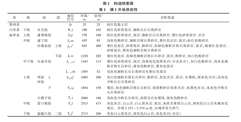 樂山大佛景區(qū)區(qū)域地?zé)豳Y源開發(fā)遠景分析-地大熱能